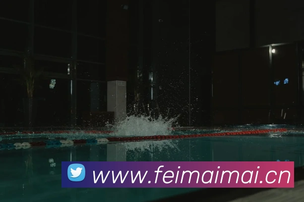 开云app官方入口网页版发展历程